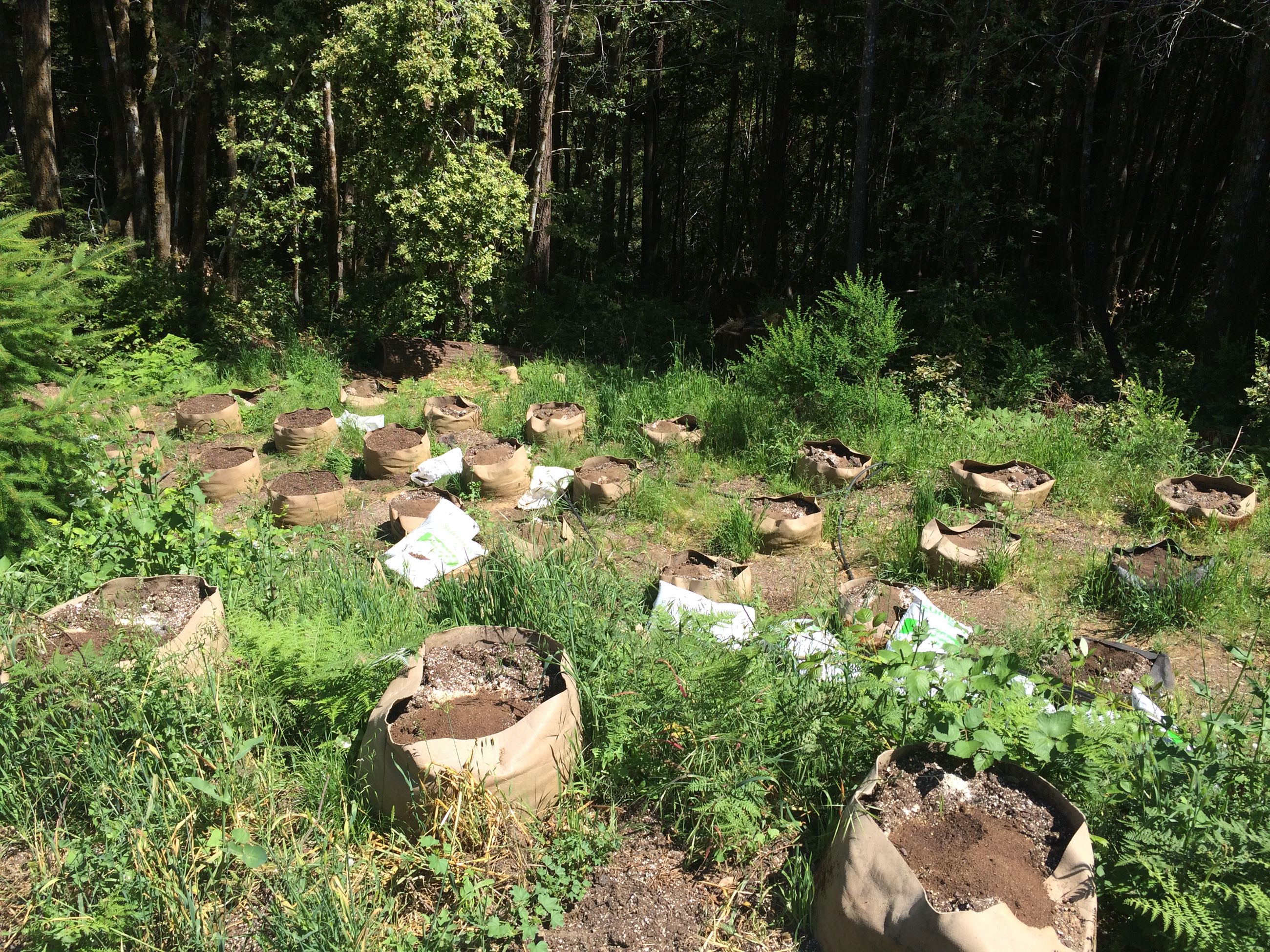 Hash Lab - 201602608